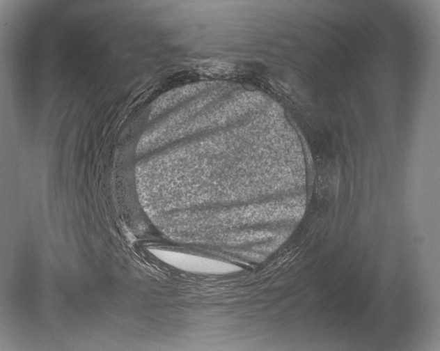 X0000078861345200612111637