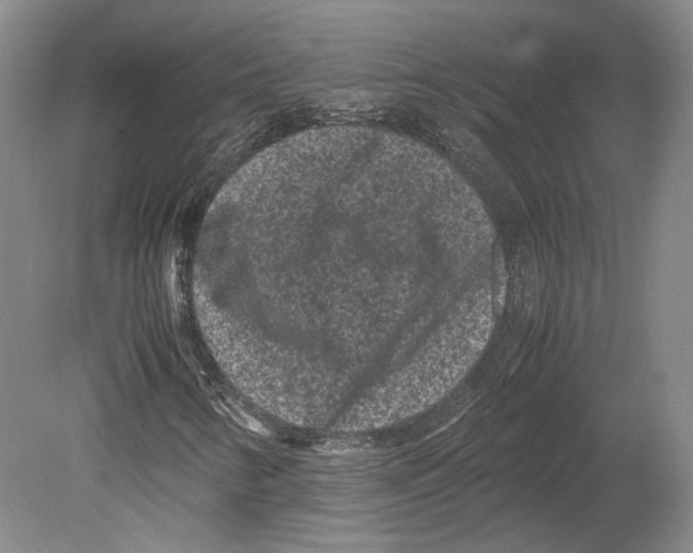 X0000078861346200612111637