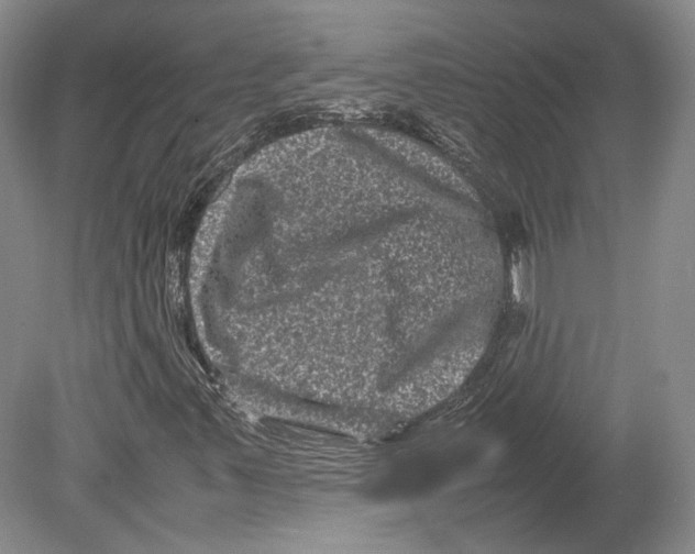 X0000078861347200612111637
