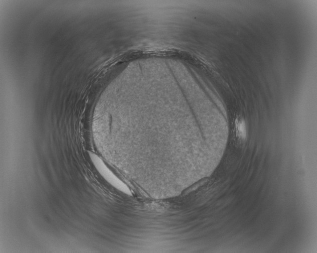 X0000078861348200612111637