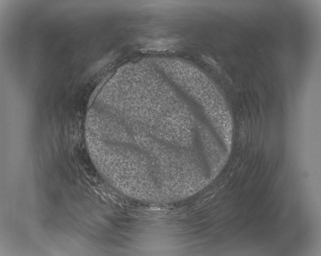X0000078861350200612111637