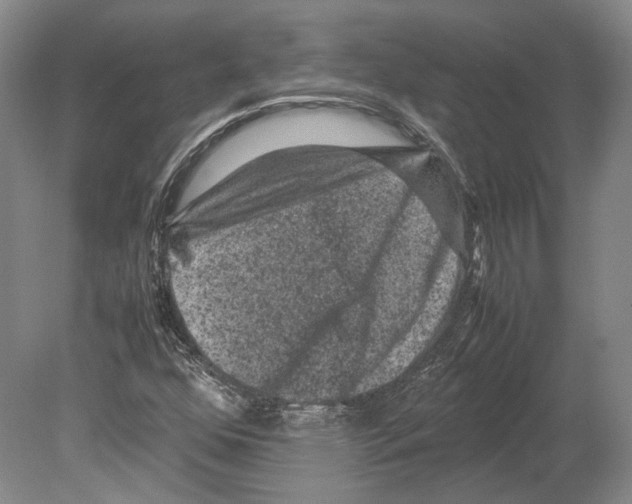 X0000078861352200612111637