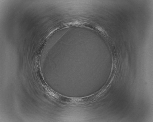 X0000078861353200612111637