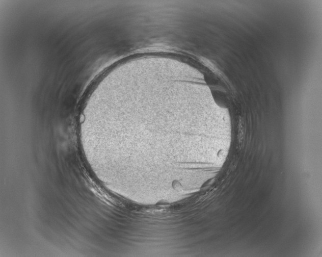 X0000078861356200612111636