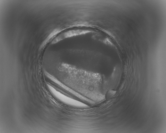 X0000078861359200612111636