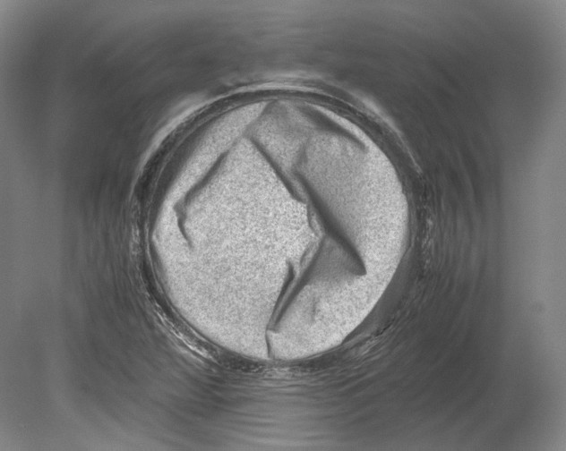 X0000078861360200612111636