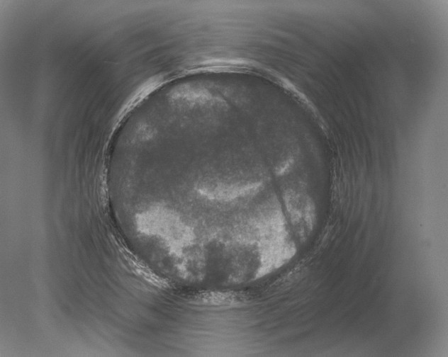 X0000078861362200612111636