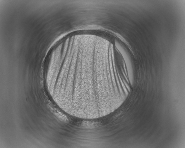 X0000078861364200612111636