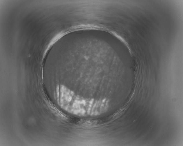 X0000078861365200612111636