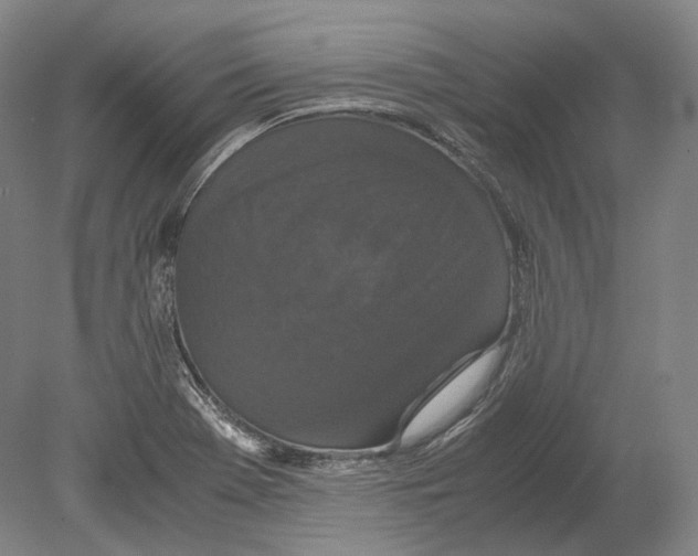 X0000078861369200612111636