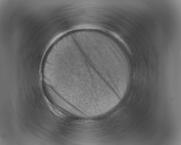 X0000078861372200612111636