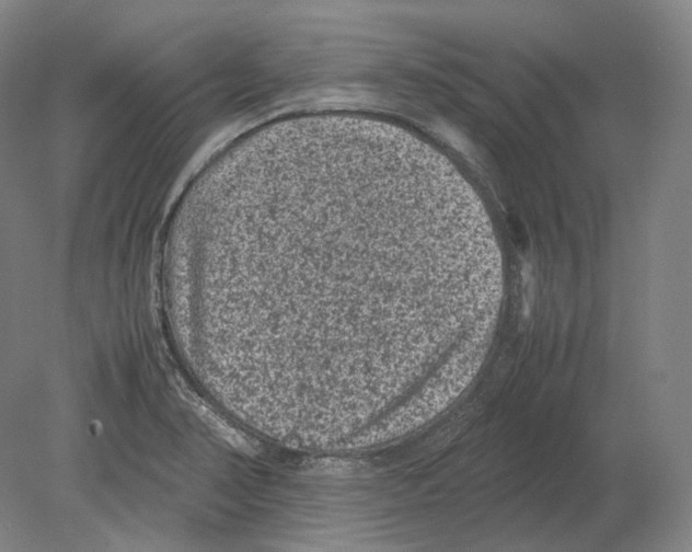 X0000078861374200612111636