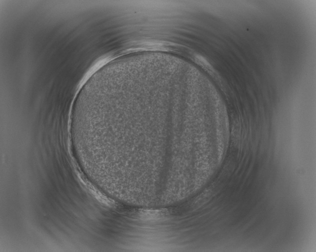 X0000078861378200612111636