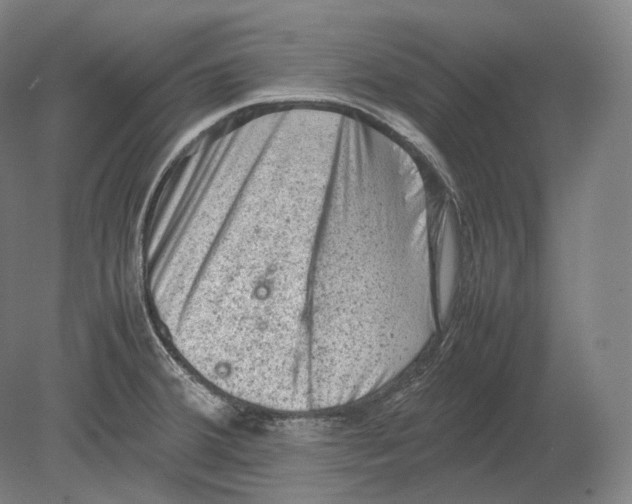 X0000078861380200612111636