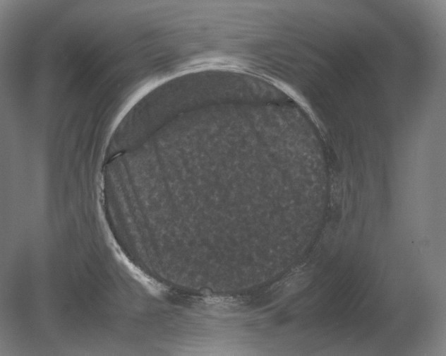 X0000078861383200612111636