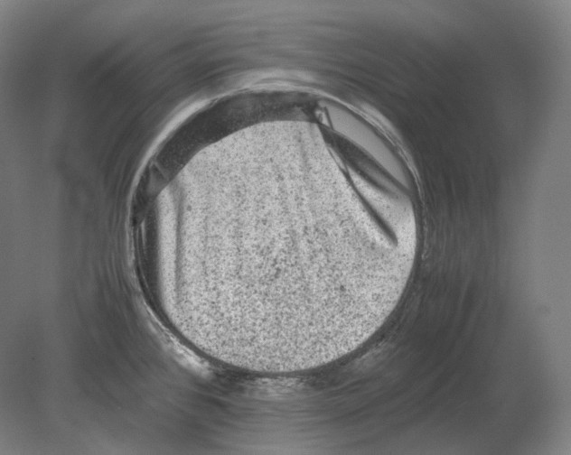 X0000078861384200612111636