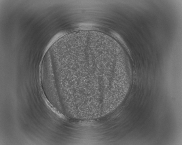 X0000078861386200612111636