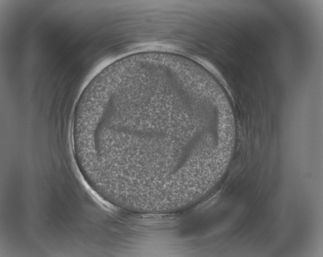 X0000078861391200612111636