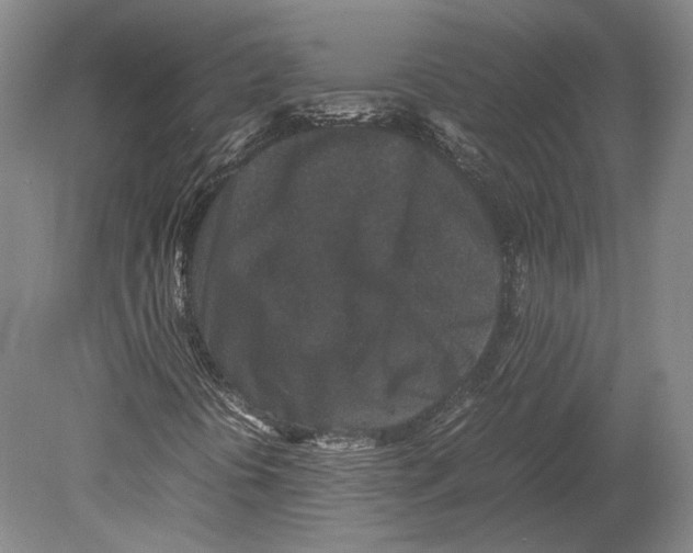 X0000078861394200612111635