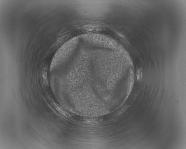 X0000078861396200612111635