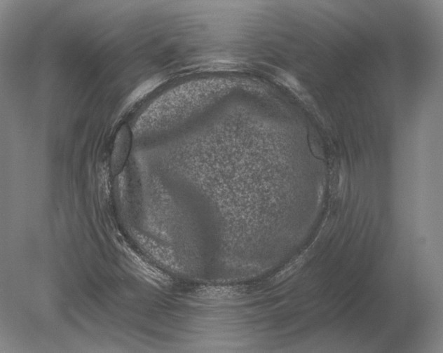 X0000078861402200612111635