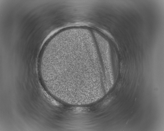 X0000078861412200612111635