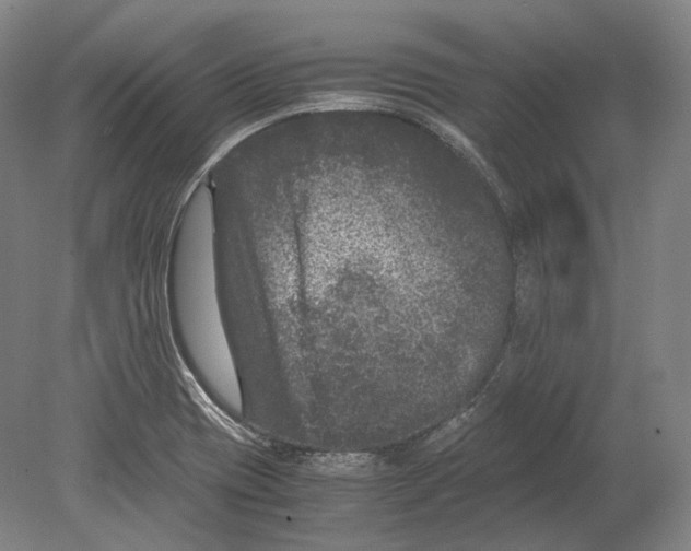 X0000078861417200612111635