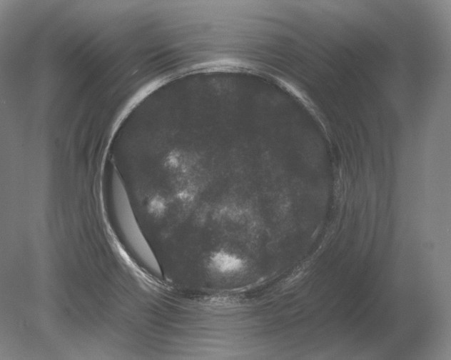 X0000078861418200612111635