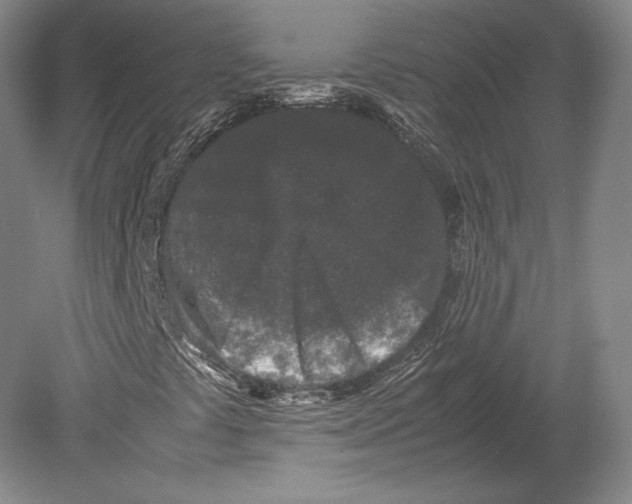 X0000078861441200612111635