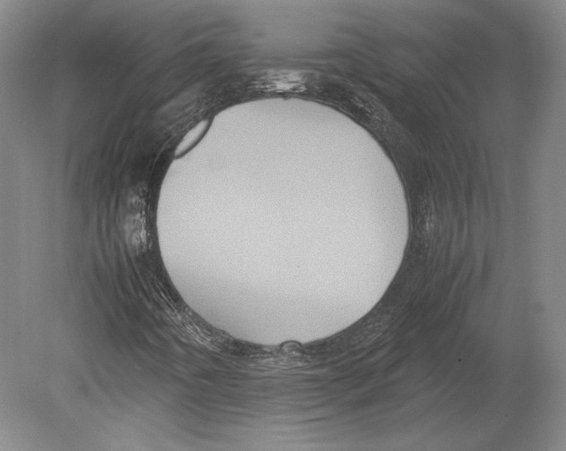 X0000078861442200612111635