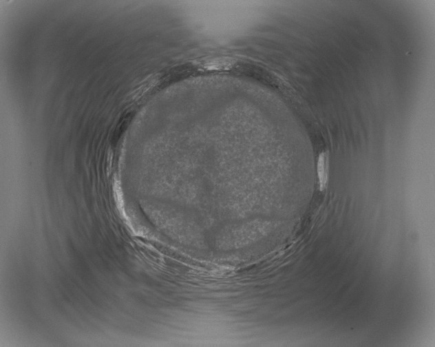 X0000078861443200612111635
