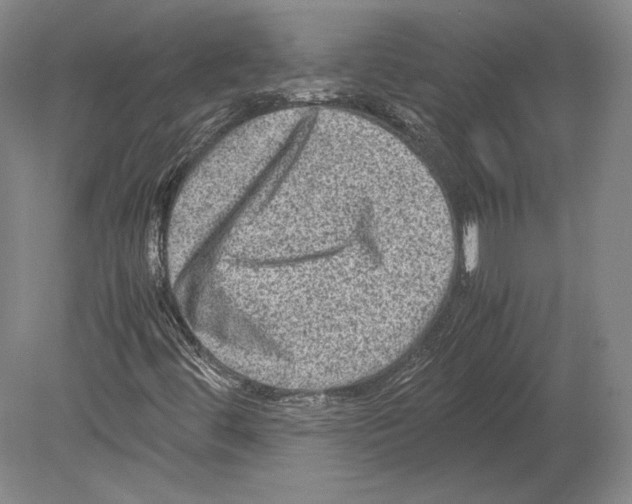 X0000078861444200612111635