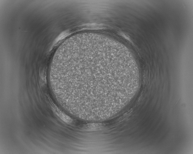 X0000078861451200612111635