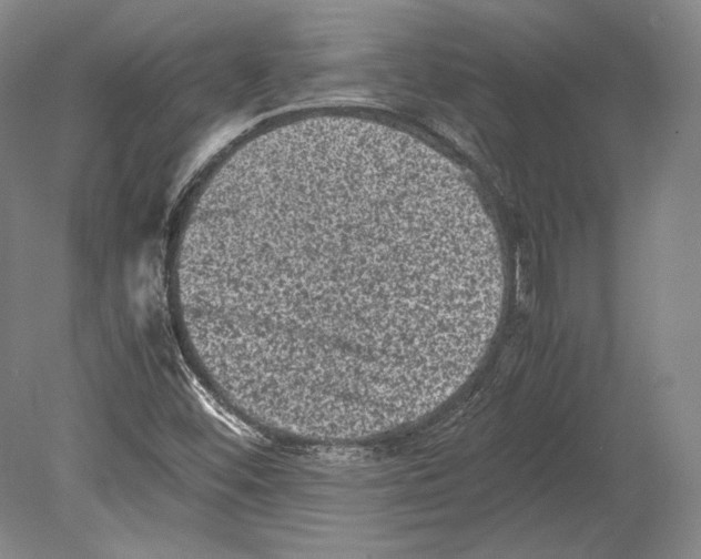 X0000078861452200612111635