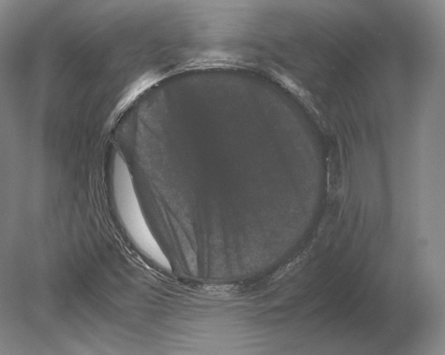 X0000078861453200612111635