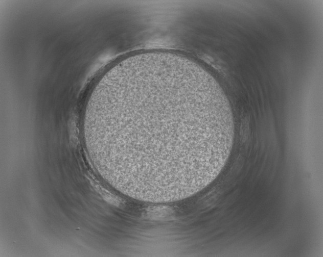 X0000078861454200612111635