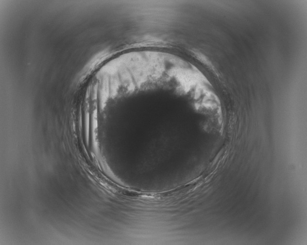 X0000078861455200612111635