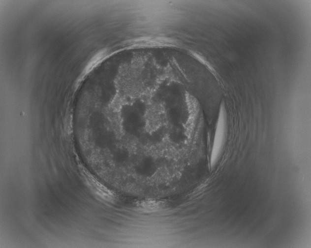 X0000078861459200612111635