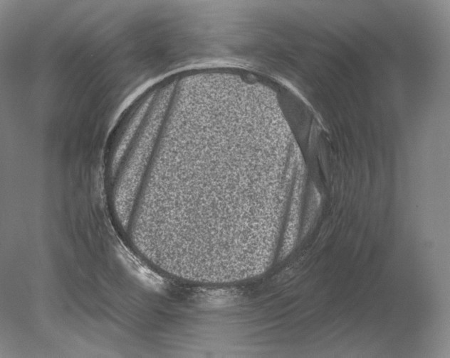 X0000078861460200612111635