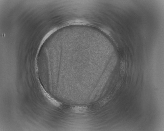 X0000078861466200612111635