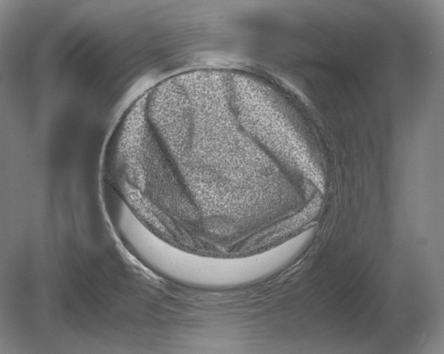 X0000078861471200612111635