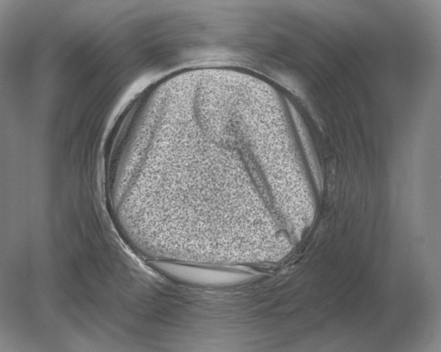 X0000078861472200612111635
