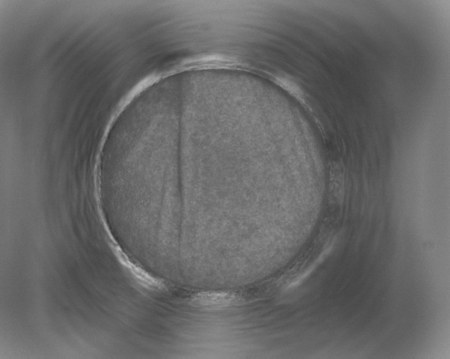 X0000078861474200612111635
