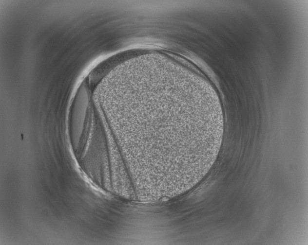 X0000078861488200612111634