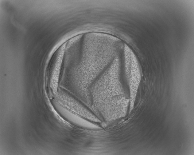 X0000078861520200612111634
