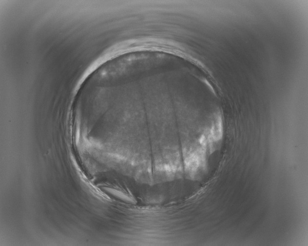 X0000078861522200612111634