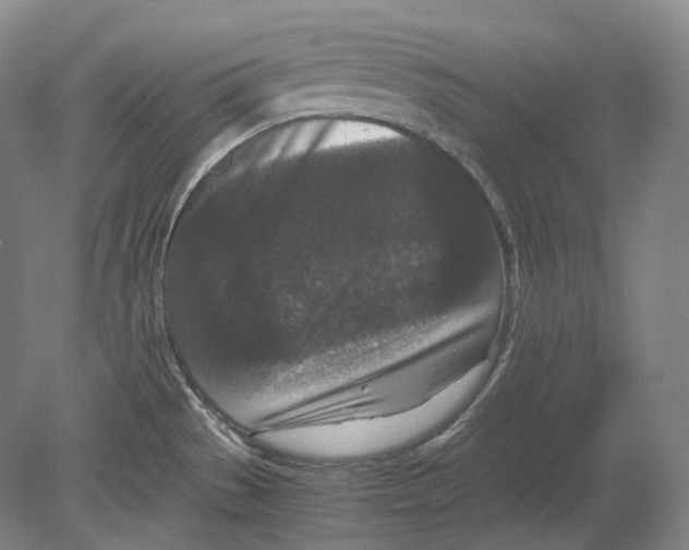 X0000078861529200612111634