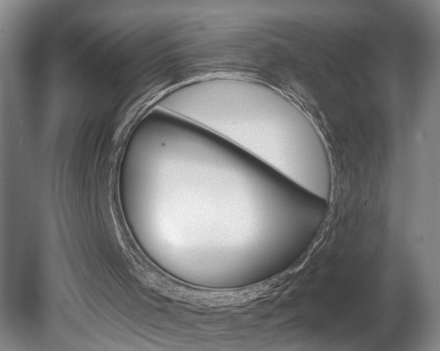 X0000078870001200611131040