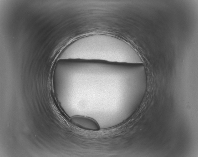 X0000078870002200611131040