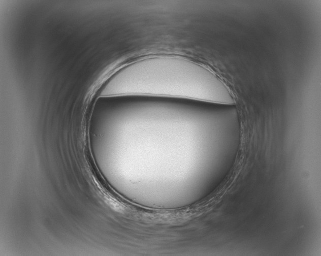 X0000078870005200611131040